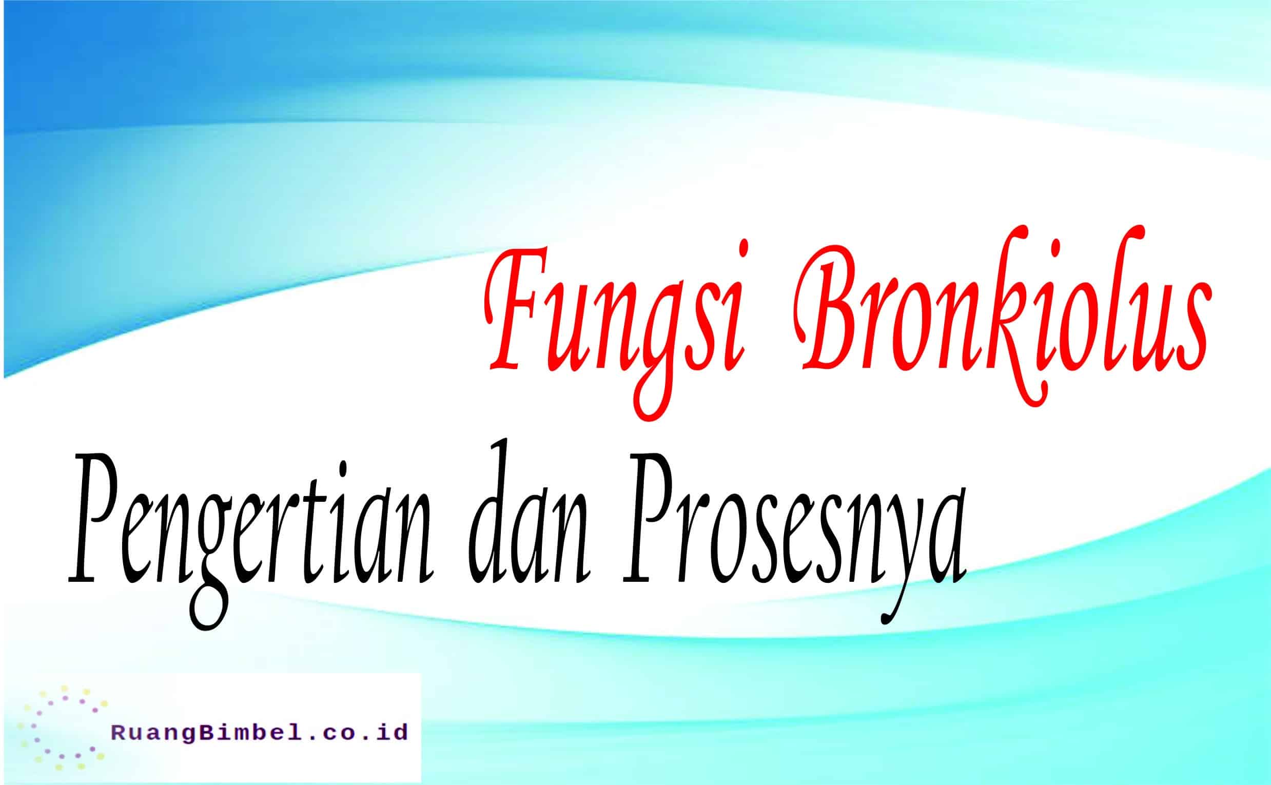 Fungsi Bronkiolus Pengertian Dan Prosesnya RuangBimbel Co Id