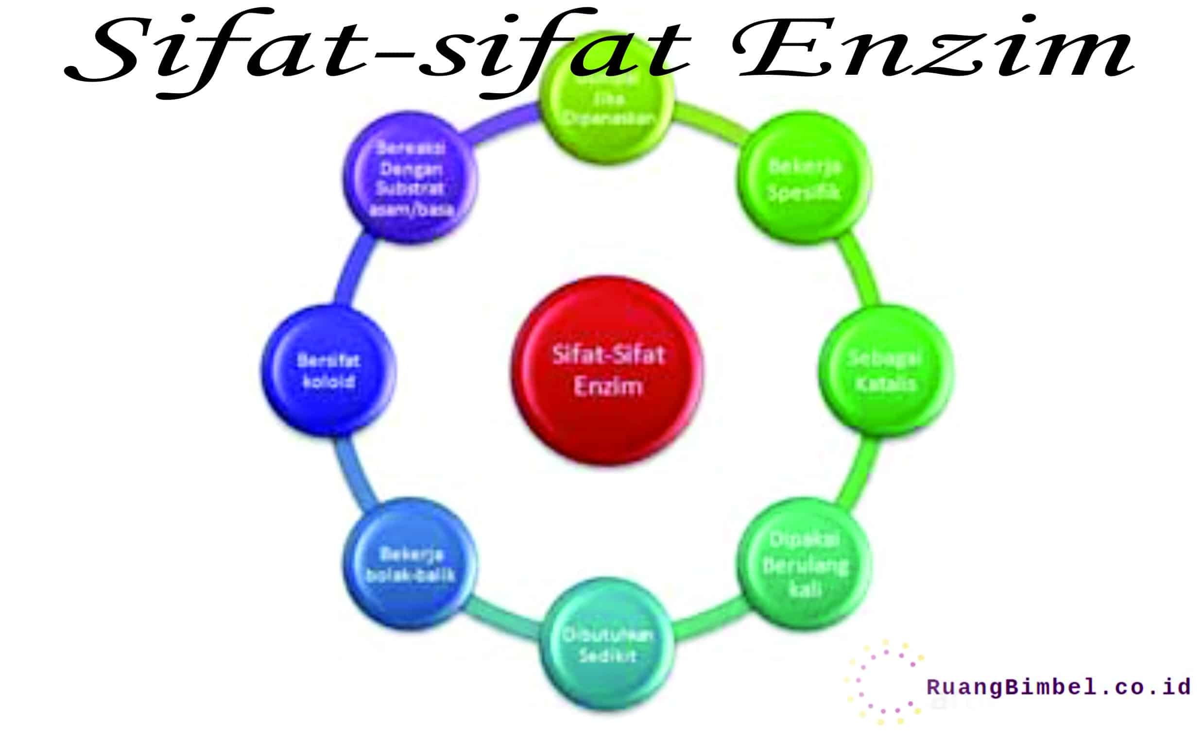 Sifat Enzim Ruangbimbel Co Id