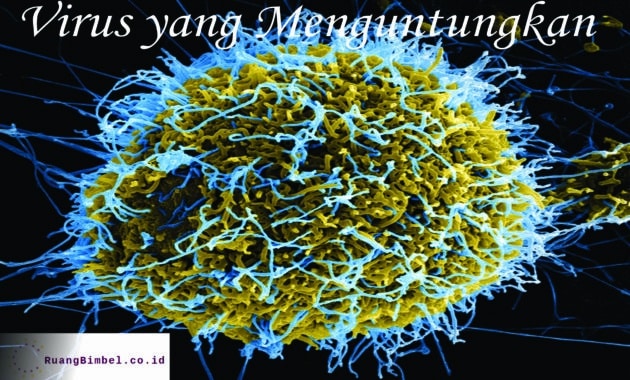 Virus yang menguntungkan - RuangBimbel.co.id