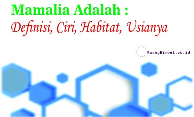 Mamalia Adalah