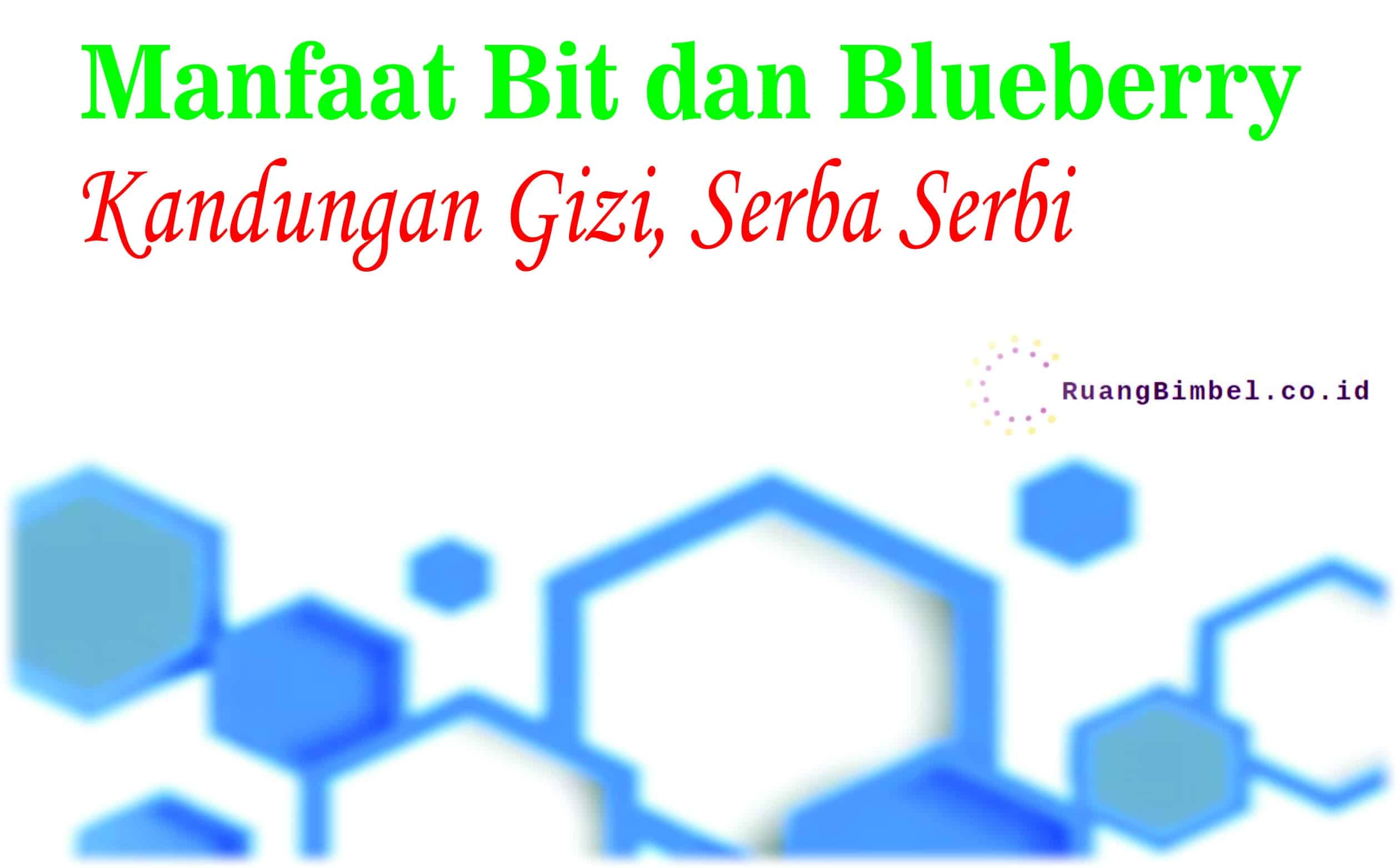 manfaat bit dan blueberry
