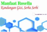 manfaat rosella