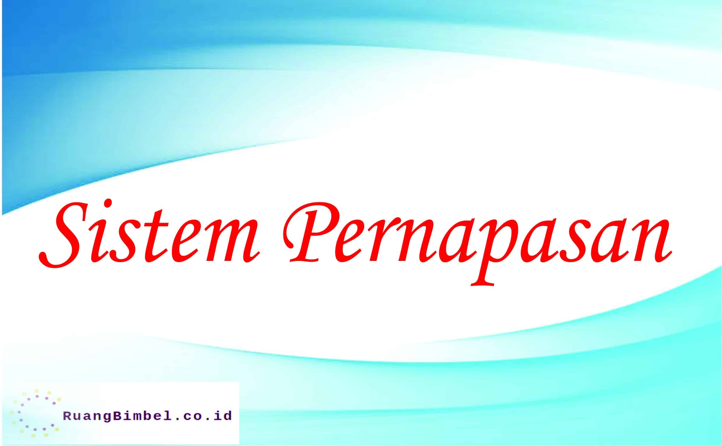 sistem pernapasan