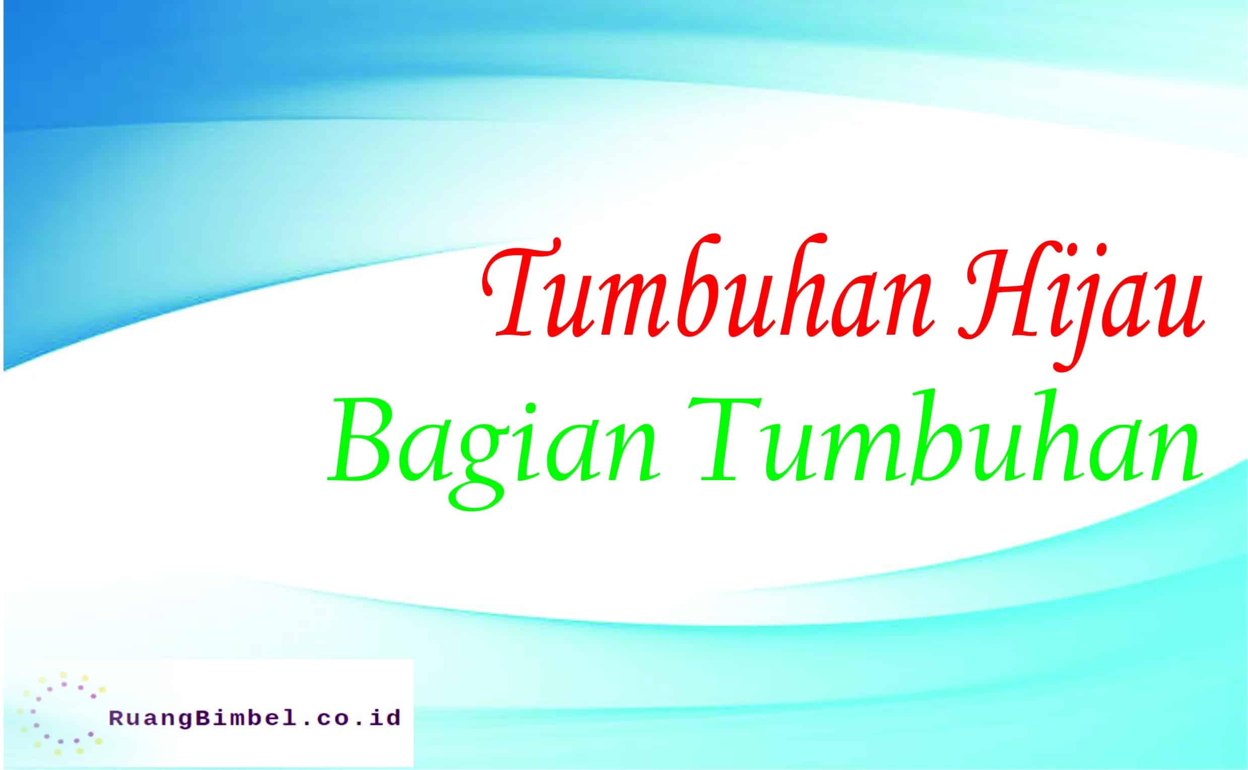 tumbuhan hijau