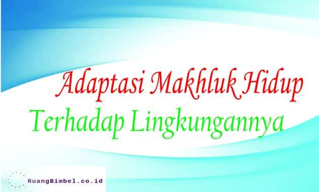 Adaptasi Makhluk Hidup Terhadap Lingkungannya Ruangbimbel Co Id