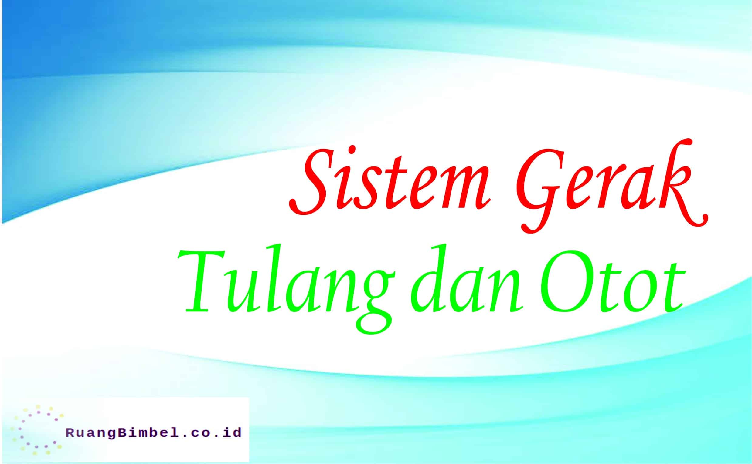 Sistem Gerak Tulang dan Otot RuangBimbel co id