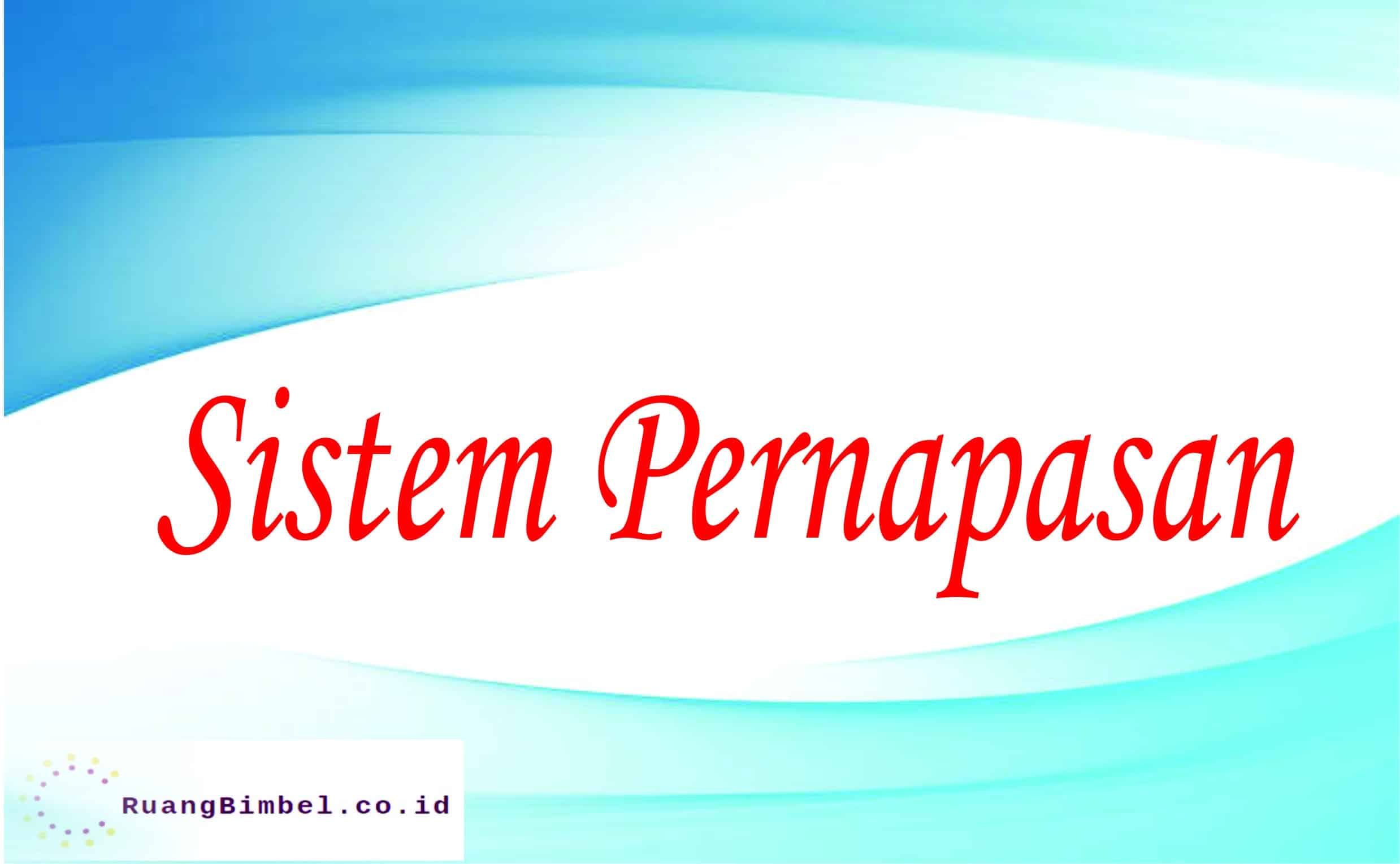 sistem pernapasan