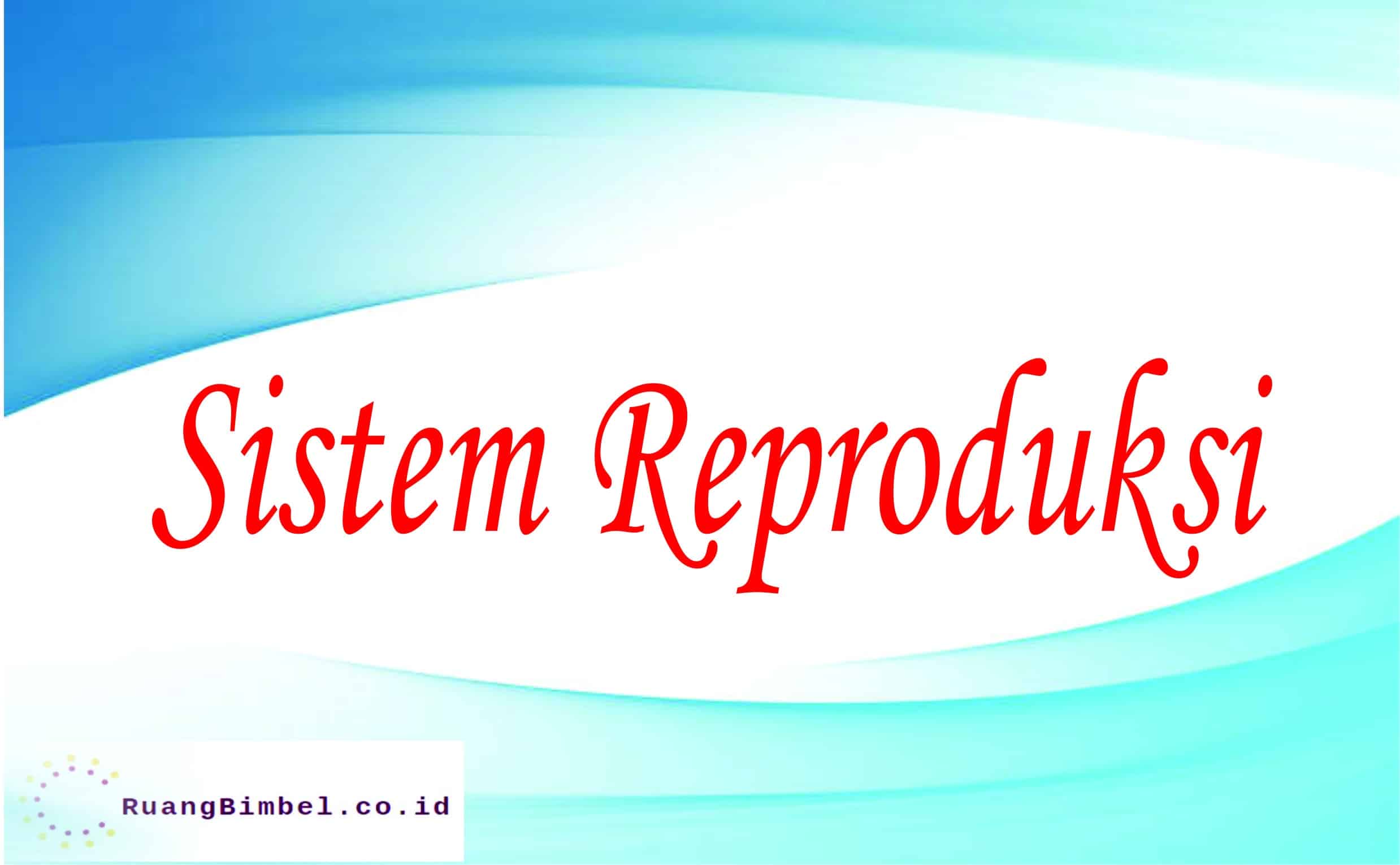 sistem reproduksi