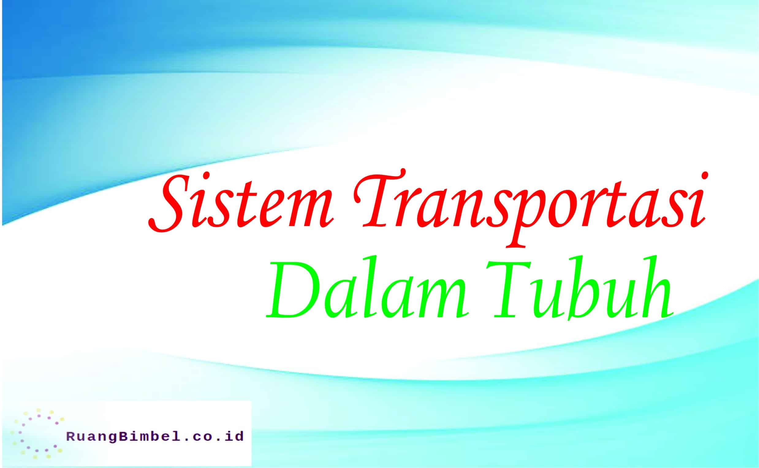 sistem transportasi dalam tubuh