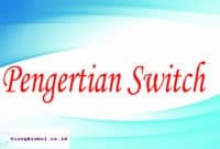 pengertian switch