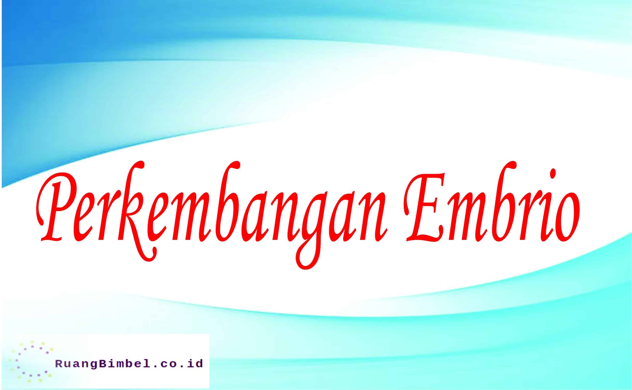 perkembangan embrio