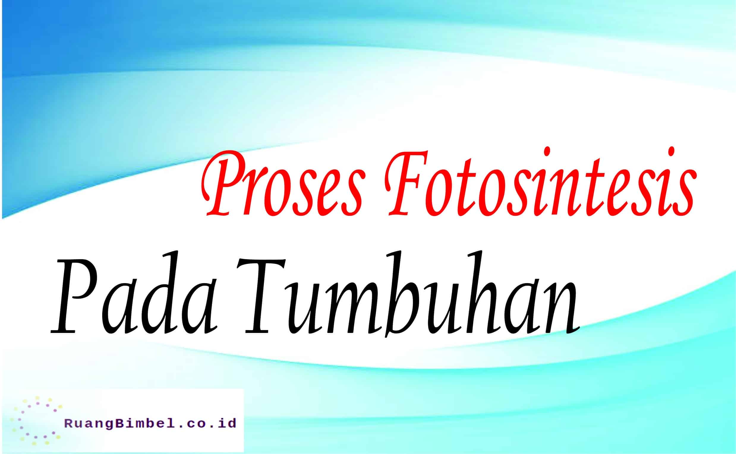 proses fotosisntesis pada tumbuhan