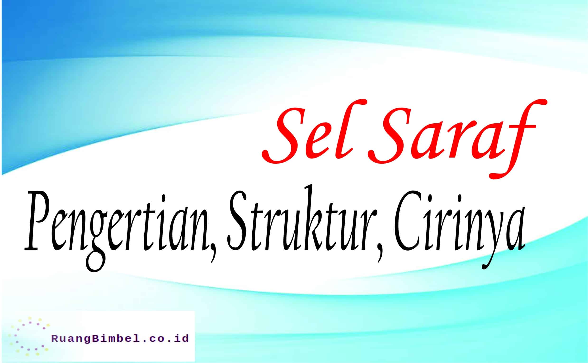 sel saraf