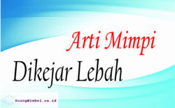 8 Arti Mimpi Dikejar Lebah Lengkap Ruangbimbel Co Id 8 Arti Mimpi Dikejar Lebah Lengkap Ruangbimbel Co Id