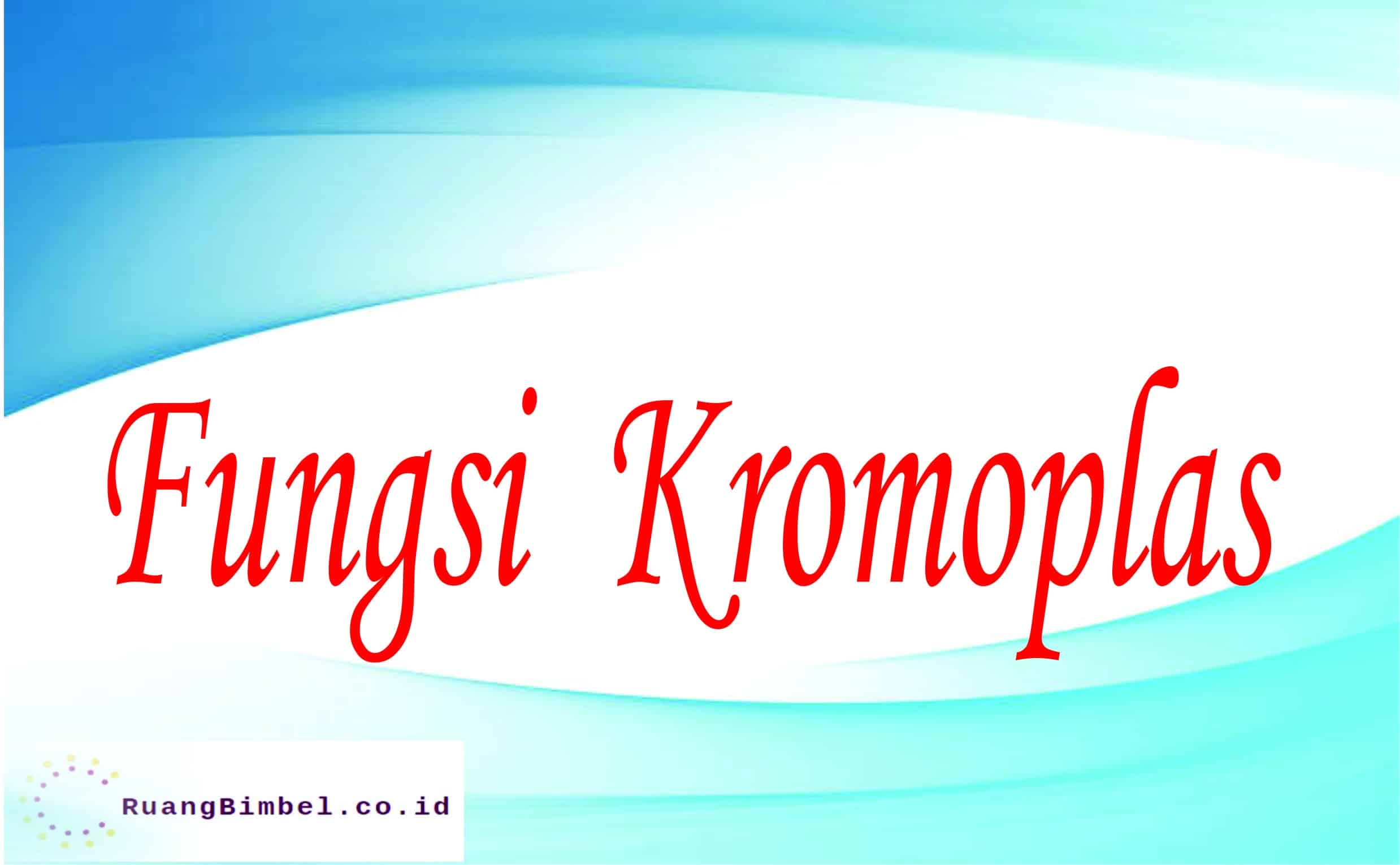 fungsi kromoplas