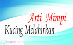 Arti Mimpi Melihat Kucing Melahirkan - Ruangbimbel.co.id