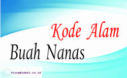 Kode Alam Buah Nanas | 18+ Angka Erek Erek - Ruangbimbel.co.id