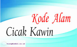 Kode Alam Cicak Kawin | 8+ Angka Erek Erek - Ruangbimbel.co.id