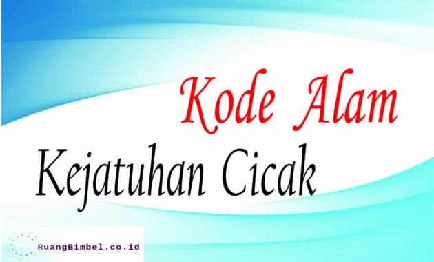 Kode Alam Kejatuhan Cicak 8 Angka Erek Erek Ruangbimbel Co Id