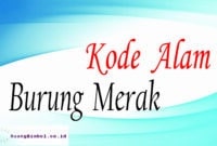 520 Gambar Burung Merak Togel Terbaik