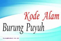 Angka Jitu Mimpi Menangkap Burung Puyuh Archives - Ruangbimbel.co.id