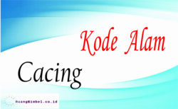 Kode Alam Cacing 15 Kode Erek Erek Ruangbimbel Co Id Kode Alam Cacing 15 Kode Erek Erek Ruangbimbel Co Id