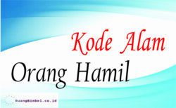 Kode Alam Orang Hamil | 10+ Kode Alam Erek Erek - Ruangbimbel.co.id
