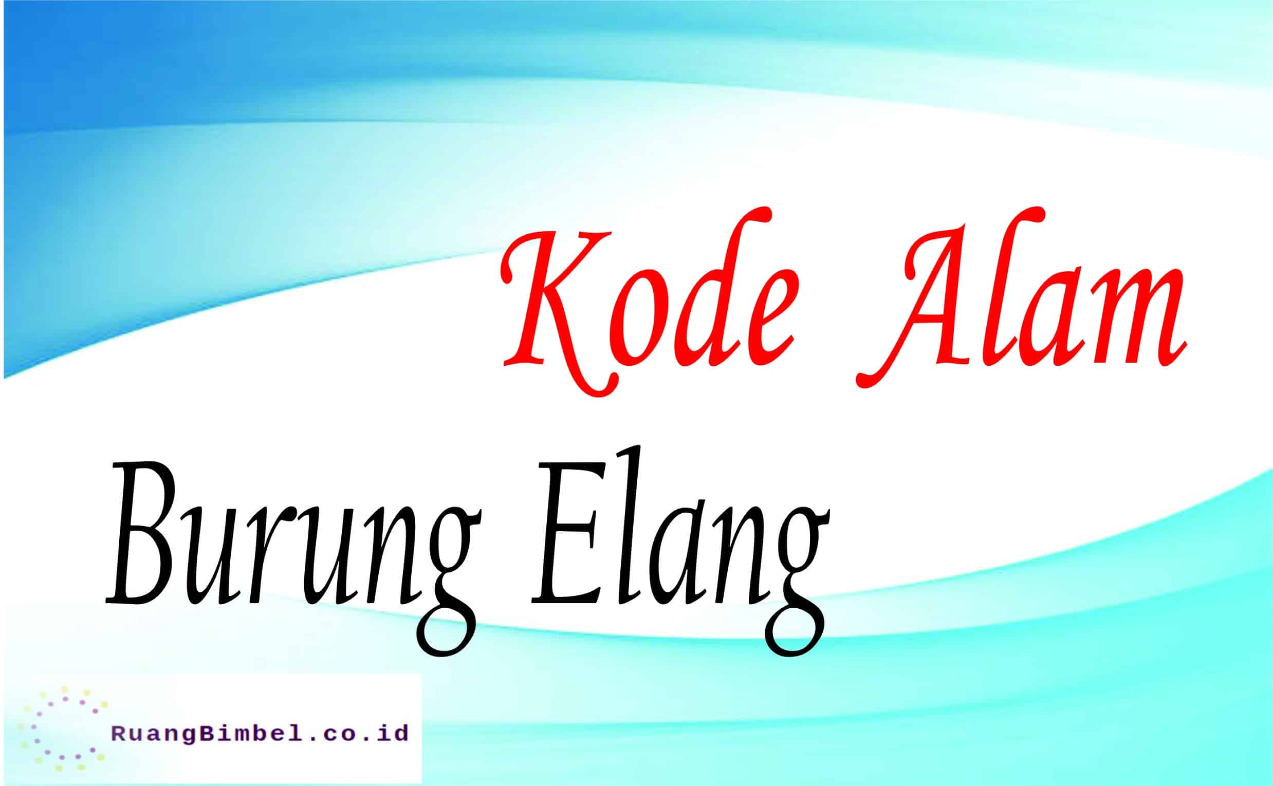 Kode Alam Burung Elang 8 Kode Alam Erek Erek Ruangbimbel Co Id