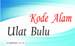 Kode Alam Ulat Bulu | 8+ Kode Alam Erek Erek - Ruangbimbel.co.id