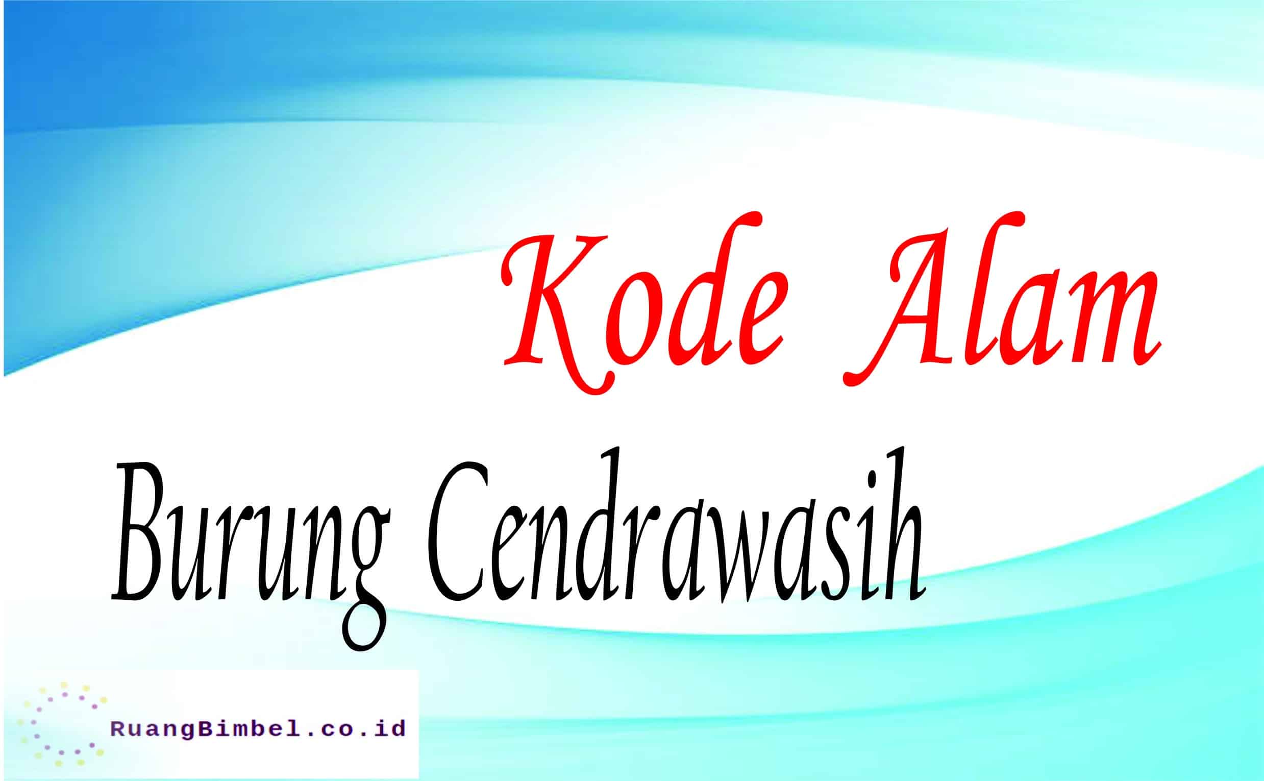 Kode Alam Burung Cendrawasih | 10+ Angka Jitu - Ruangbimbel.co.id