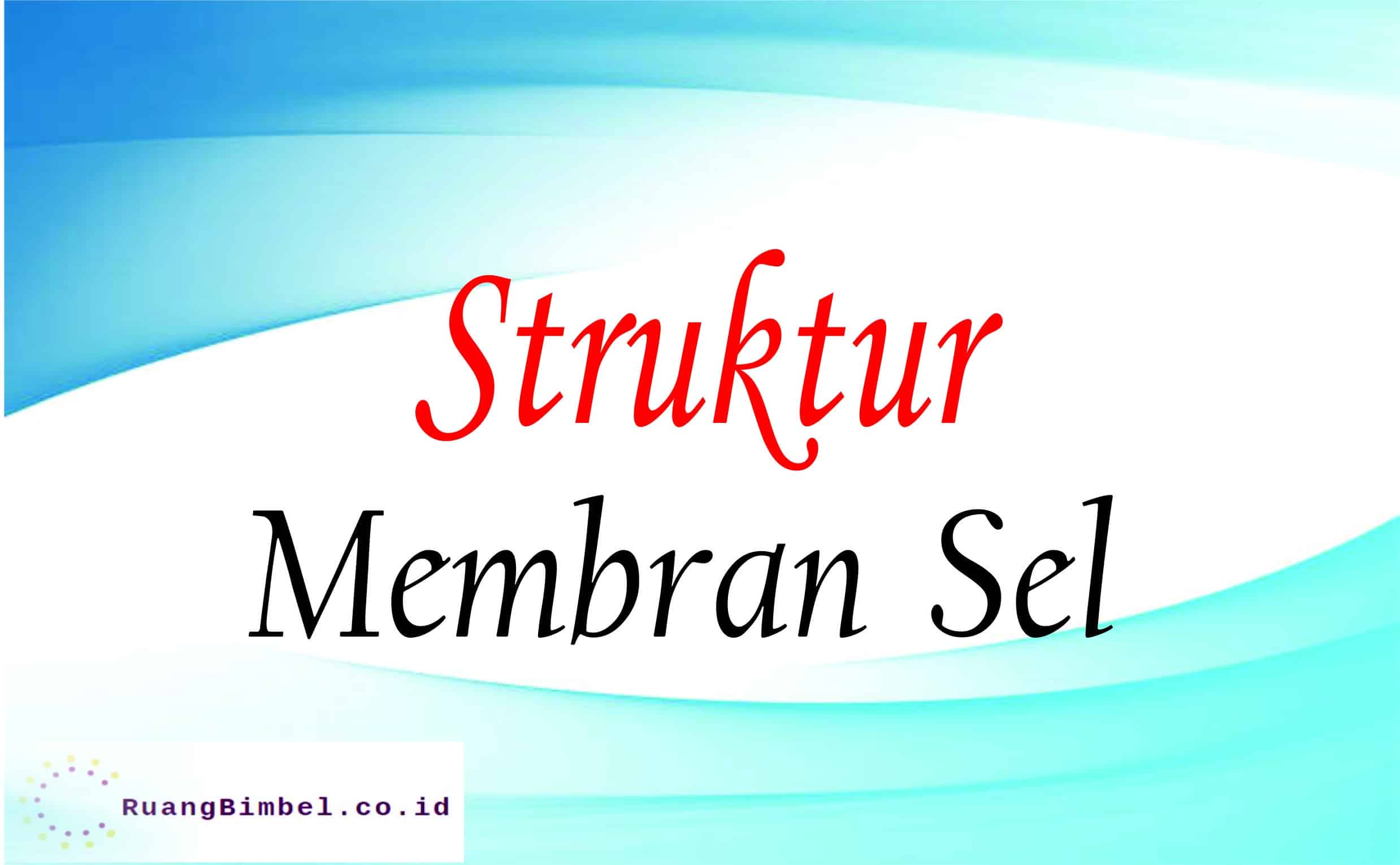 Struktur Membran Sel Sifat Komponen Fungsi Id 4406