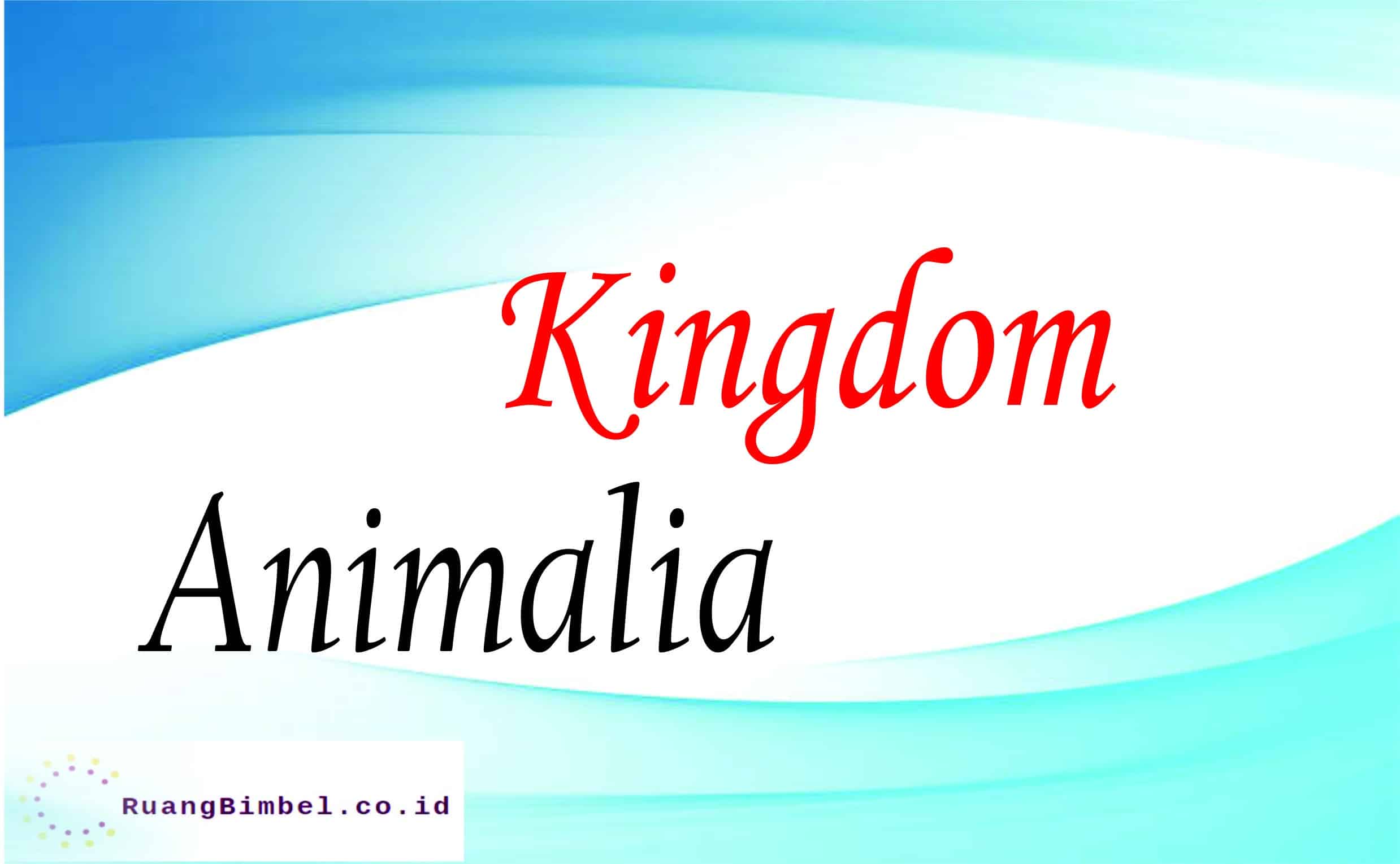 Kingdom Animalia: Ciri-ciri Dan Klasifikasi - RuangBimbel.co.id