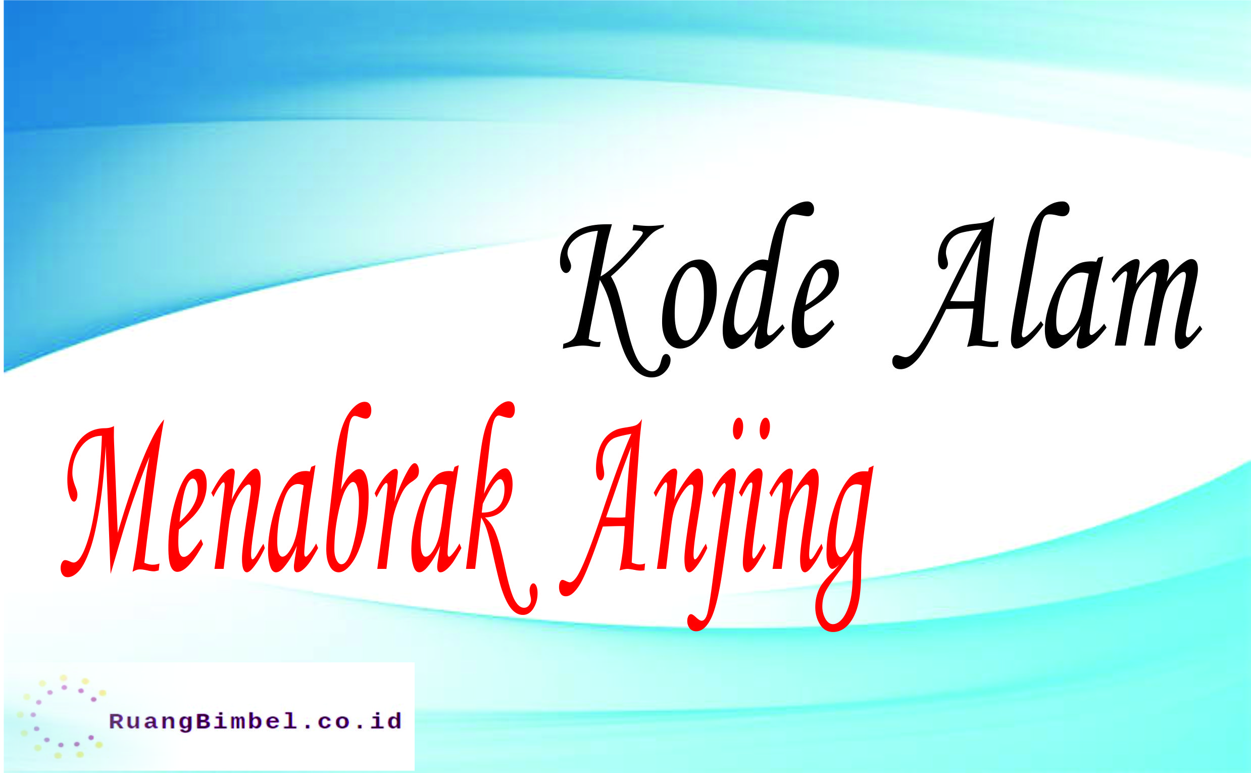 kode alam menabrak anjing