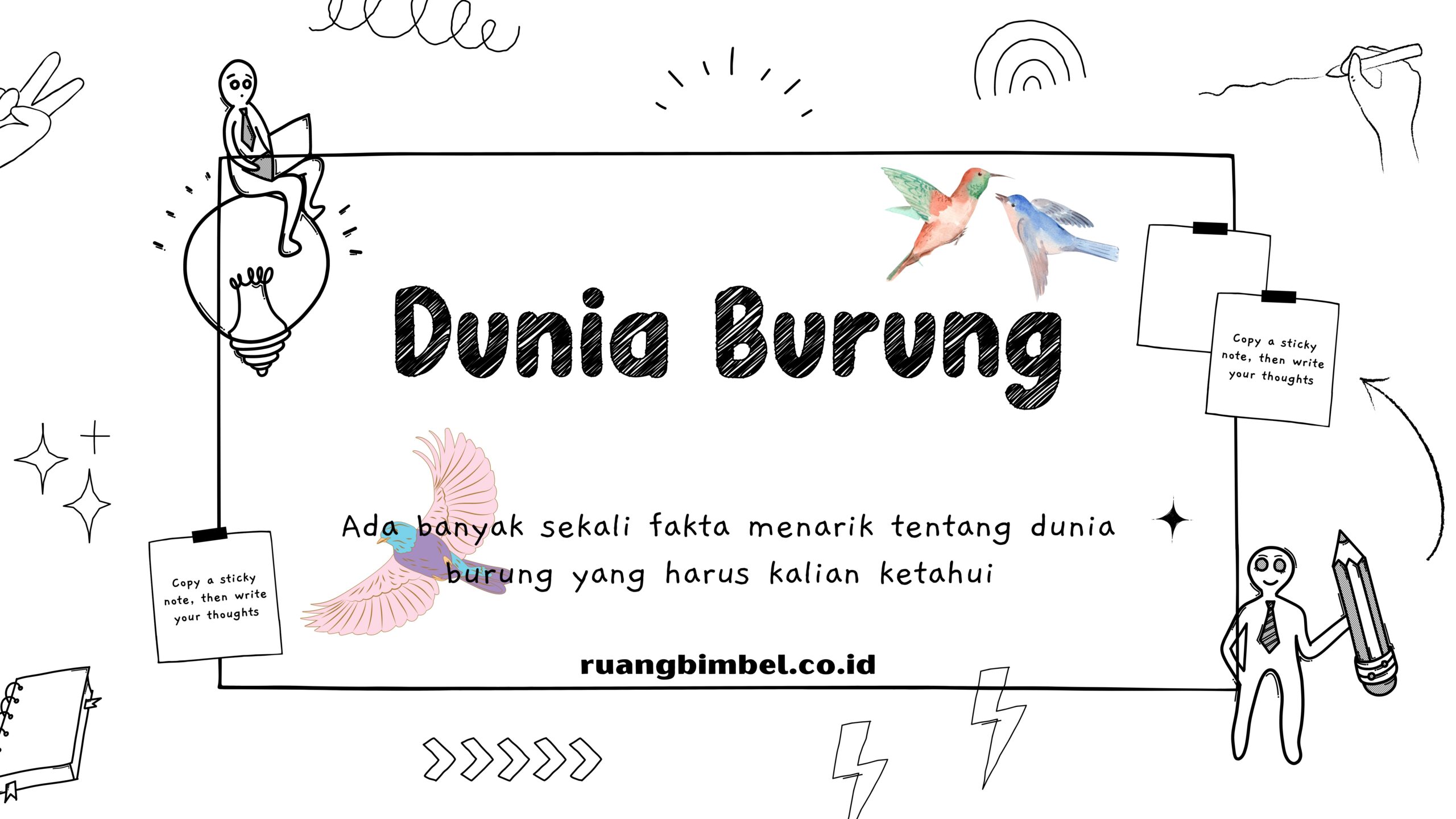 Fakta Menarik Tentang Dunia Burung