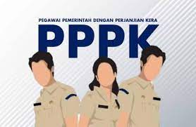 Pegawai Pemerintah dengan Perjanjian Kerja (PPPK) di Indonesia: Sebuah Gambaran