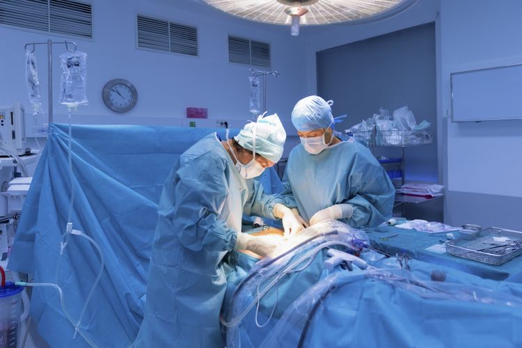 berapa biaya sekolah dokter spesialis