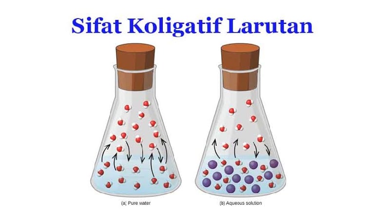 Sifat Koligatif Utama