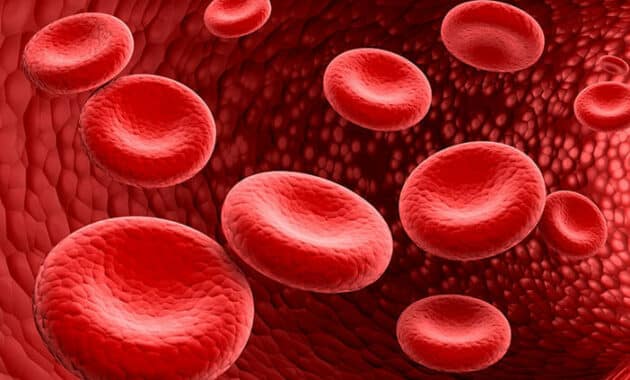 Menyingkap Normalnya Kapasitas Sel Darah Merah dalam Tubuh Manusia