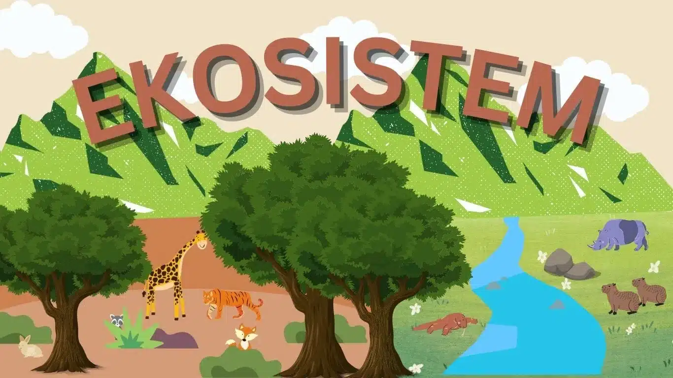 Dampak Sistem Ekonomi