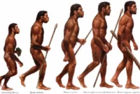 Sejarah homo soloensis