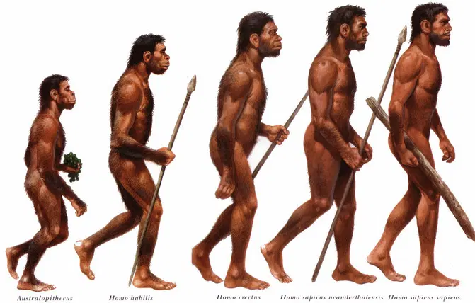Sejarah homo soloensis