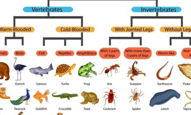 Menyusuri Keragaman Hidup: Klasifikasi Makhluk Hidup dalam Kerangka Ilmu Taksonomi