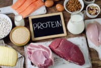 Pengertian Protein