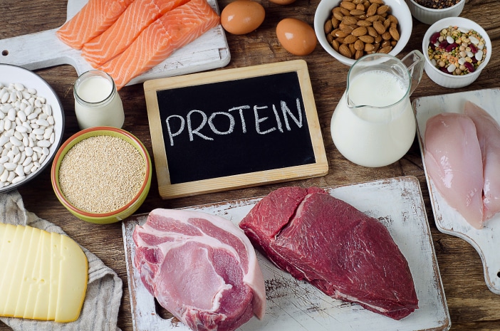 Pengertian Protein