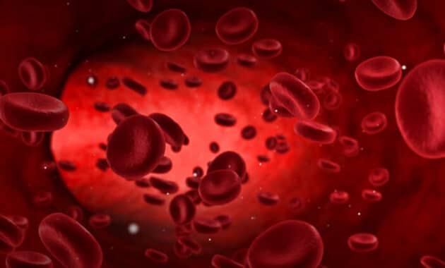 Eksplorasi Elemen Penting dalam Sel Darah Merah Manusia