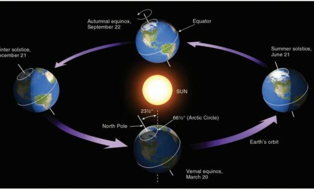 Matahari: Sumber Cahaya dan Energi yang Menghidupkan Dunia
