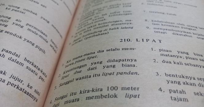 Pengenalan Ungkapan Bahasa