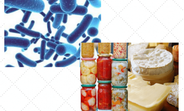Memanfaatkan Mikroorganisme dengan Bijak: Tips Penggunaan yang Efektif