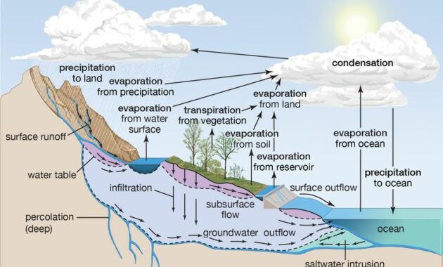 Pembentukan Evaporasi dan Transpirasi: Peran Penting dalam Siklus Air