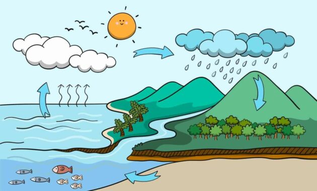 Menyelami Kehidupan Bawah Tanah: Infiltrasi dan Aliran Air dalam Tanah